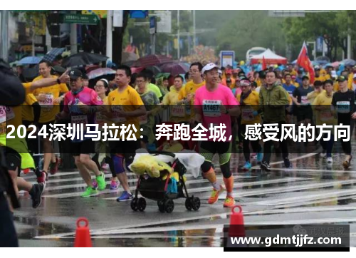 2024深圳马拉松：奔跑全城，感受风的方向
